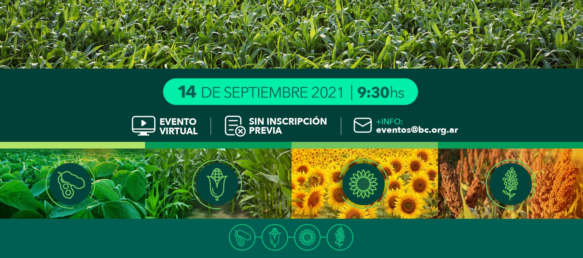 Lanzamiento Campaña Gruesa 21 22 Perspectivas Agrícolas Bolsa De Cereales De Buenos Aires 